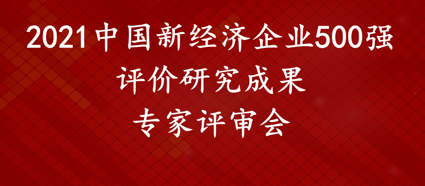 “2021新经济企业500强评价研究成果”专家评审会在京举办