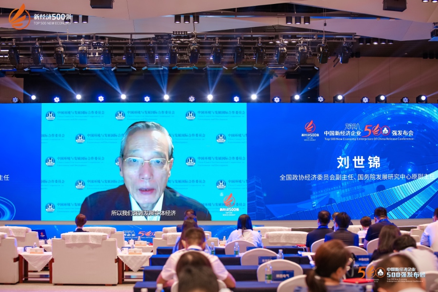 刘世锦：加快发展数字化实体经济