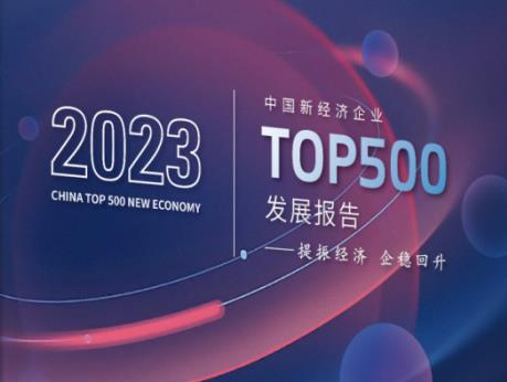 《2023中国新经济企业TOP500发展报告》正式发布