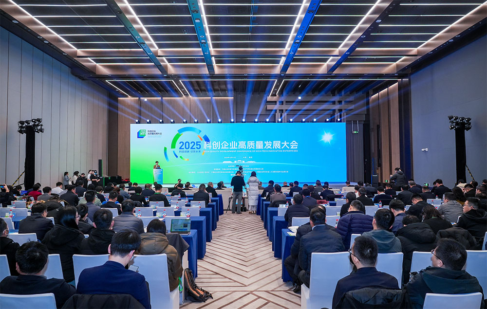 1766043751268760.jpg 12.jpg