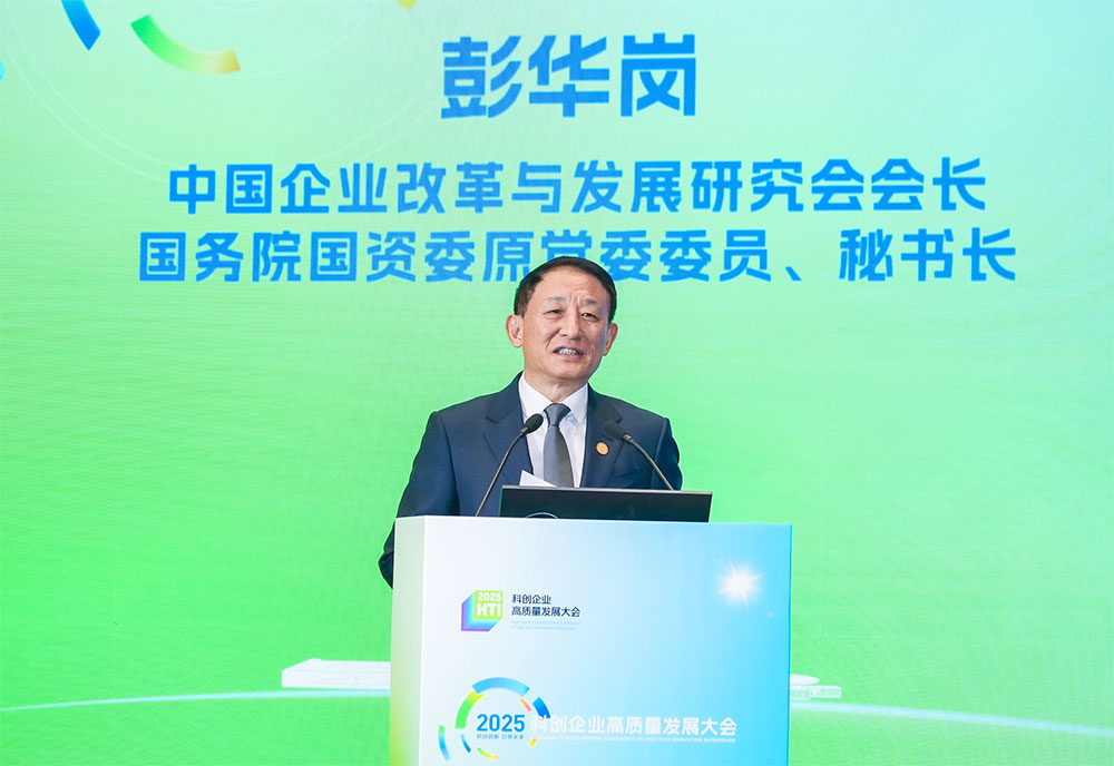 1766043899429526.jpg 16.jpg